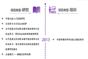 操插网站非评估类项目发展历程